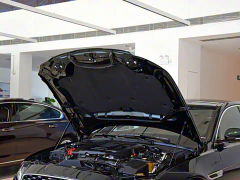 2021�� XFL 2.0T P300 �����콢�˶���