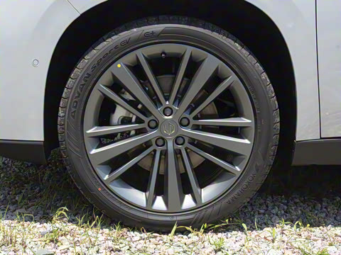 2026�� ���� 280�����״�� 6��