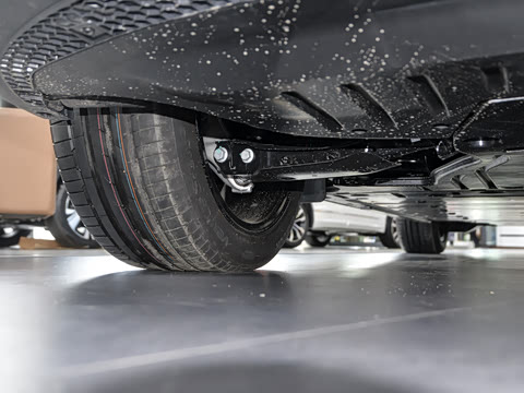 2021�� Pro ���ǳ�������