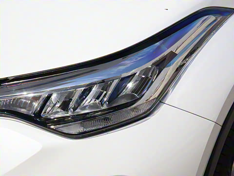 2021�� ˫�� 2.0L ������