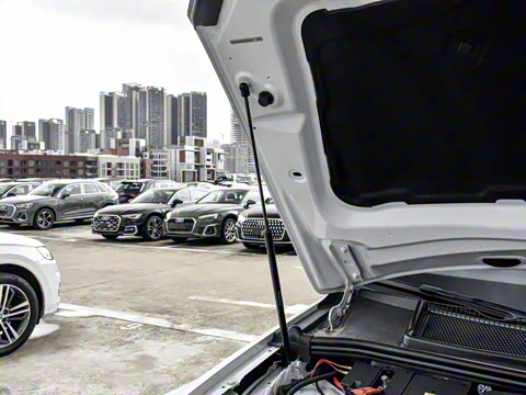 2025�� 55 TFSI quattro S line�˶���