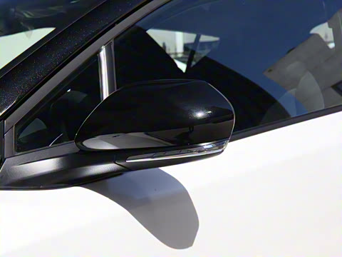 2021�� ˫�� 2.0L ������