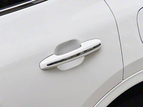 2020�� EcoBoost 245 ����������