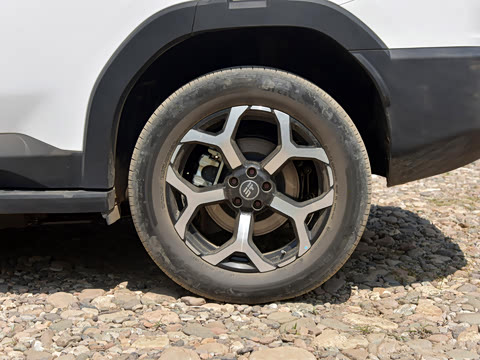 2025�� 220km ����������