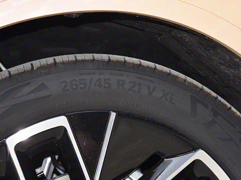 2025�� Max �����