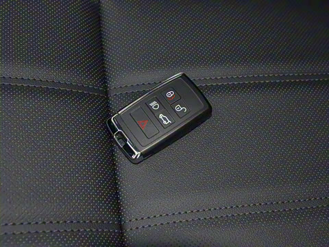 2021�� ����L P300e ������