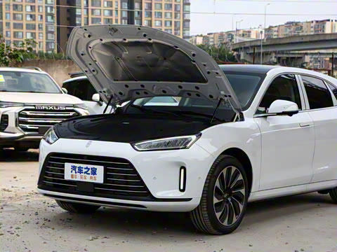 2022�� �������������