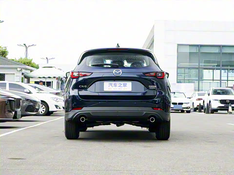 2025�� 2.0L �Զ�����������