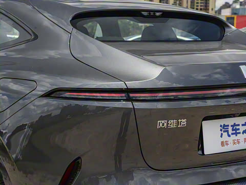 2025�� Max �����