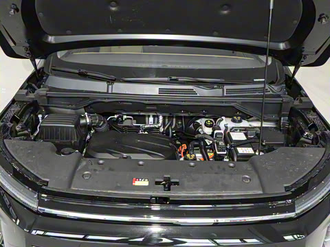 2025�� �콢��