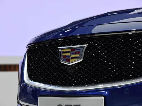 2020�� 28T �����˶���