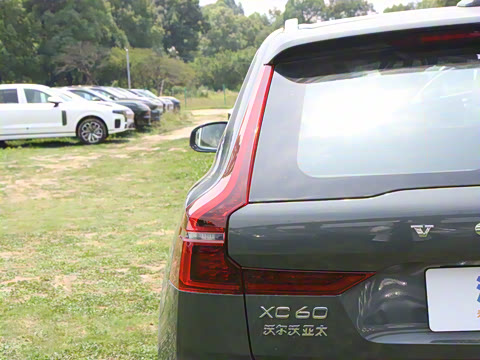 2026�� B5 �������ݺ�����