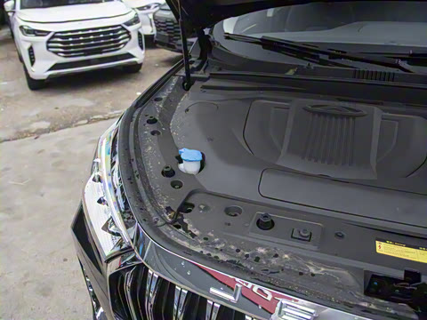 2023�� ���� 2.0T DCT��ʤ�� 7��