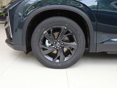 2025�� 518������