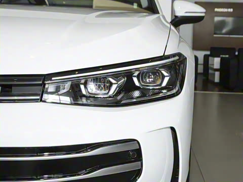 2025�� Pro 300TSI ��ҫ��