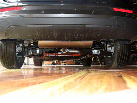 2025�� ������