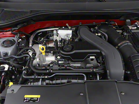 2025�� �Ŀ�� 300TSI DSG���������