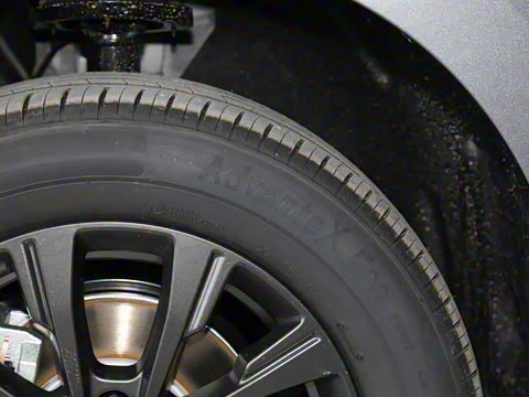 2025�� 520�ǻݰ�