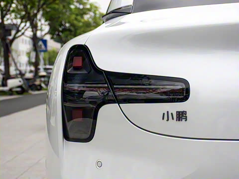 2025�� 600 �������� Max