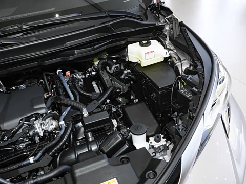 2024�� 2.5L�춯 ������