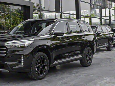 2021�� 390T ������ҫ��������