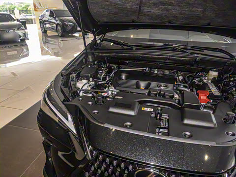 2025�� 260 ǰ�� �ر��