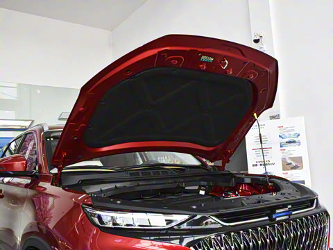 2022�� 1.5T �������Զ����