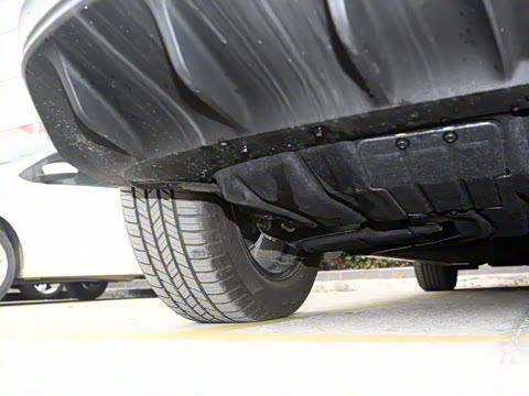 2024�� �糱��(������)