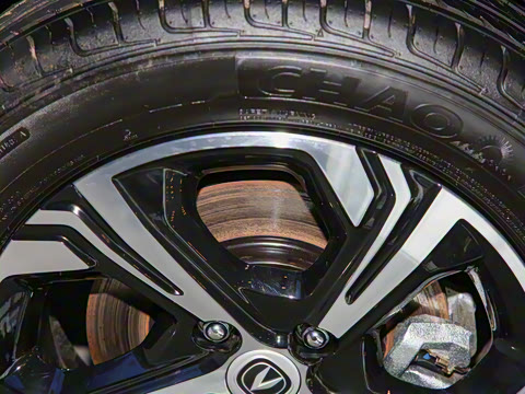 2022�� ���İ� ��ʿ� �������