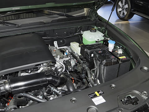 2025�� ���װ�