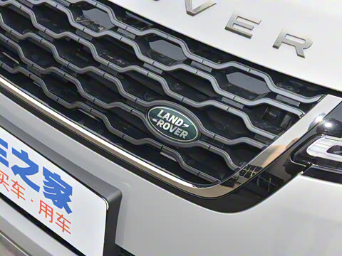 2021�� ����L P300e ������