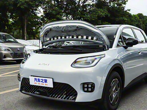 2025�� 330��ҫ��