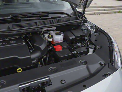 2025�� ½�Ϲ���� ������