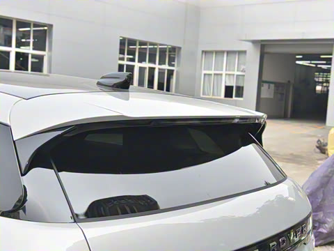 2021�� ����L P300e ������