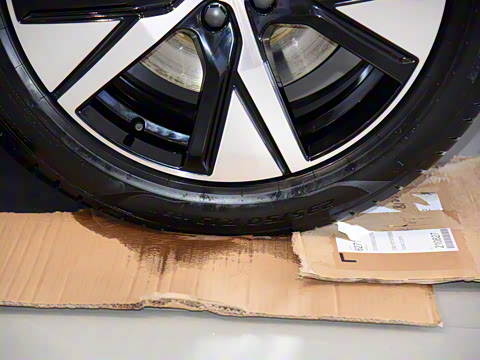 2022�� ��������