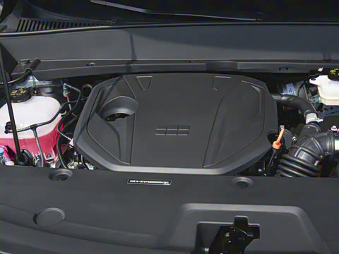 2025�� 55km ������