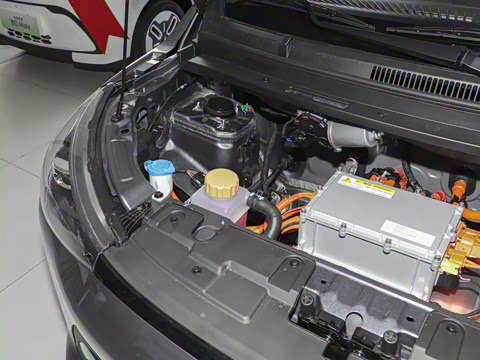 2026�� Mate 305km ����̤�˰�