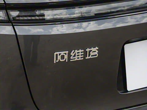 2025�� Max �����