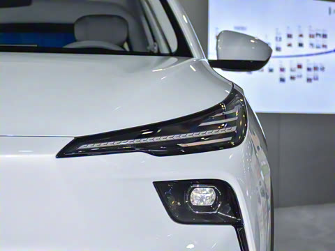 2025�� 445km ��ѡ��