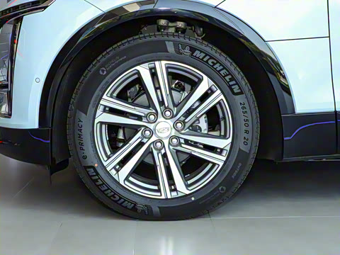 2022�� ��������������