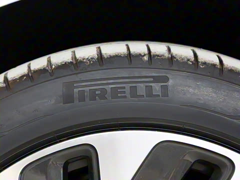 2022�� �������������