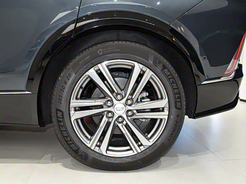 2022�� ��������������