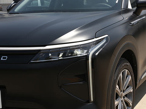 2025�� ̽����