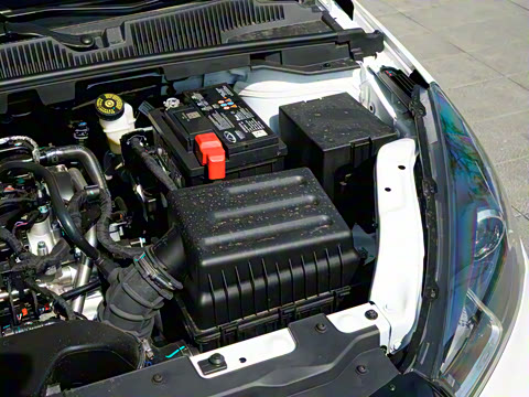 2025�� ׿Խ�� 1.5L �ֶ�������