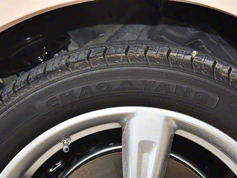 2023�� 401km��׼���� ������ �������