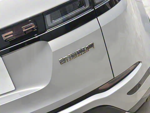 2021�� ����L P300e ������