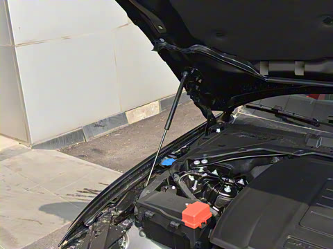 2023�� 2.0T 250PS R-DYNAMIC S��ȡ�˶���