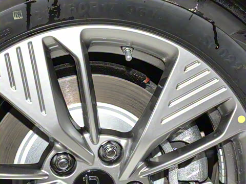 2025�� 565km ������