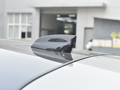 2021�� ����L P300e ������