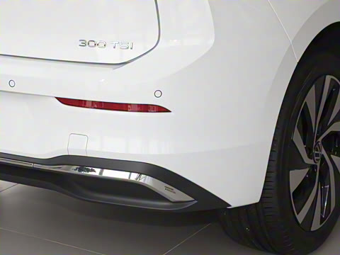 2025�� �Ŀ� 300TSI Pro